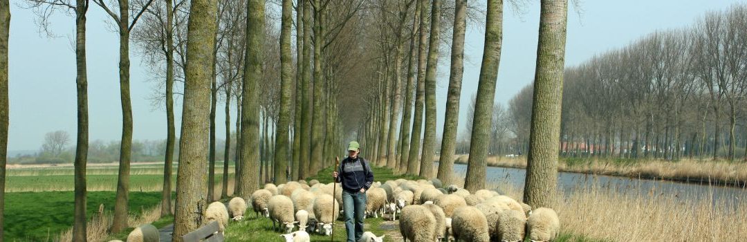 Worship – May 8 – Following the Shepherd’s Voice